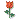 Բ-ͼƬ