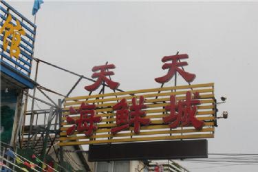 캣ʳ-1
