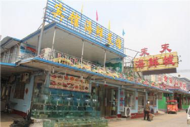캣ʳ-5