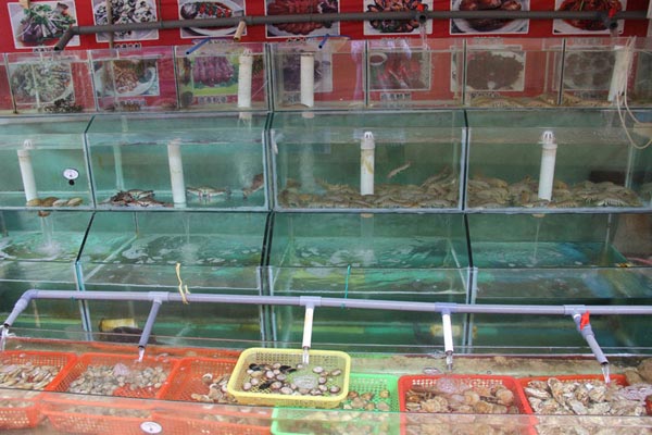 钓鱼台宾馆-图片