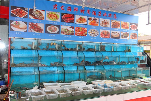 君发海鲜时尚酒店-图片