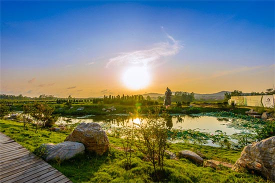 茶仙子风景区-图片